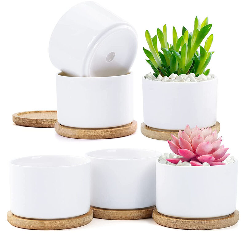 Petites Ecrevisses - Lot de 6 Pot de Fleur en Céramique Rond Pots pour Succulents Plantes avec Plateau en Bambou Blanc
