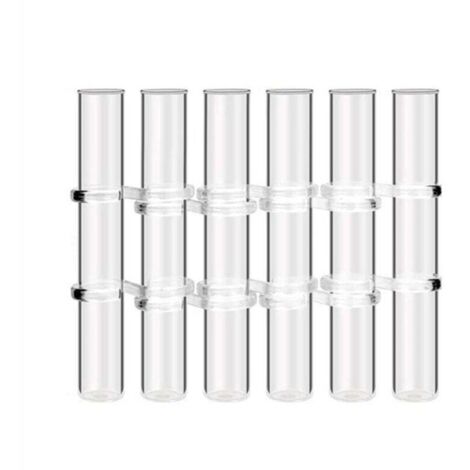 Lot de 6 tubes à essai en verre transparent pour vase à fleurs à charnière, pour décoration intérieure, taille L