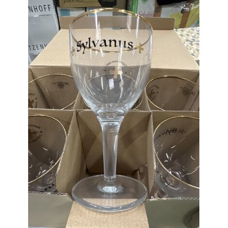 Lot de 6 verres à bière Sylvanus - 25 cl - Neufs