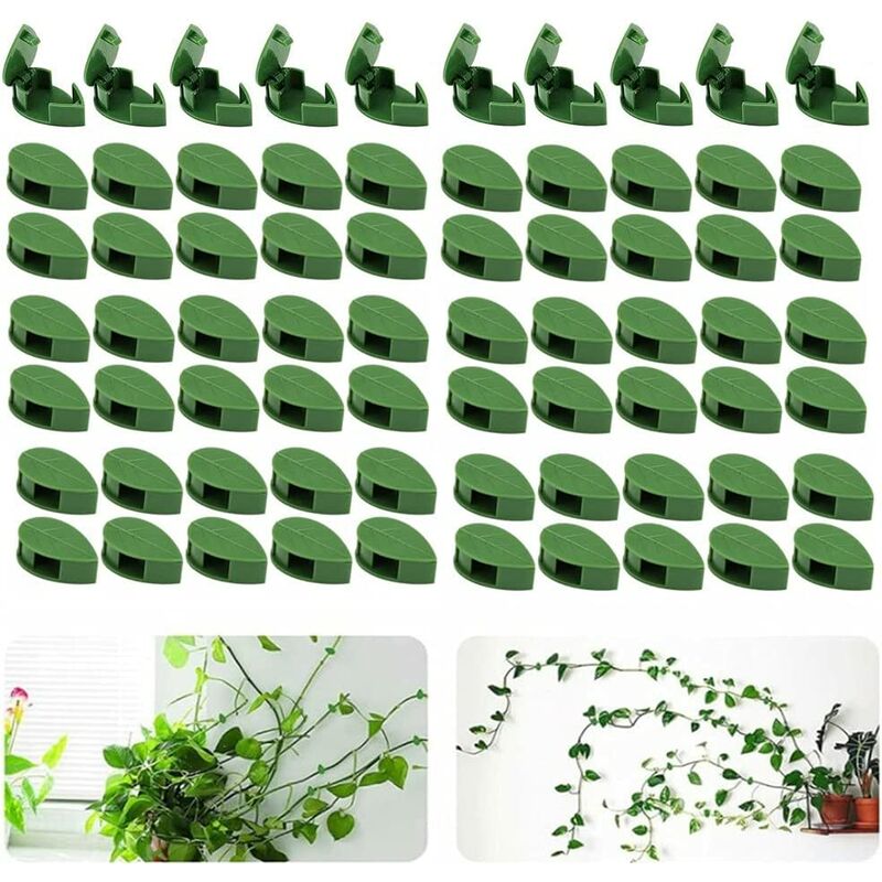 Enlenk - Lot de 70 clips muraux pour plantes grimpantes - Pour jardin, maison, bureau