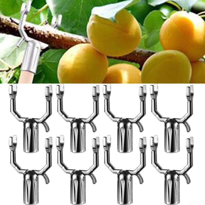 Laoa - Lot de 8 supports de branche d'arbre fruitier - Support de branche de plante - Support de branche de plante - Outils de décoration - Supports