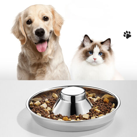 Lot de deux gamelles en acier inoxydable pour chiots et chats - Gamelles de 25 cm de diamètre