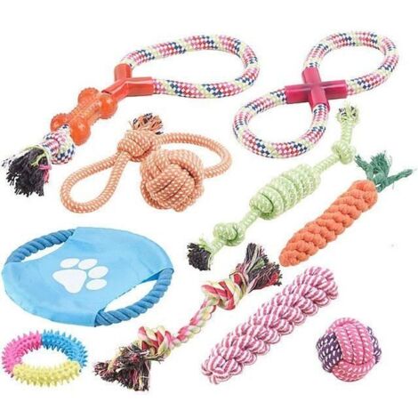 Lot de10 jouets pour chiens : à mâcher et lancer