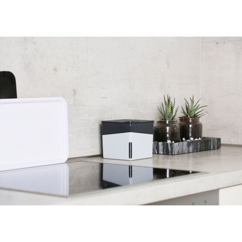 Wenko - Déshumidificateur Cube Blanc 2 x 1000 g jusqu'à 80 m3 absorbeur d'humidité anti-humidité maison déshumidificateur sans électricité bloc