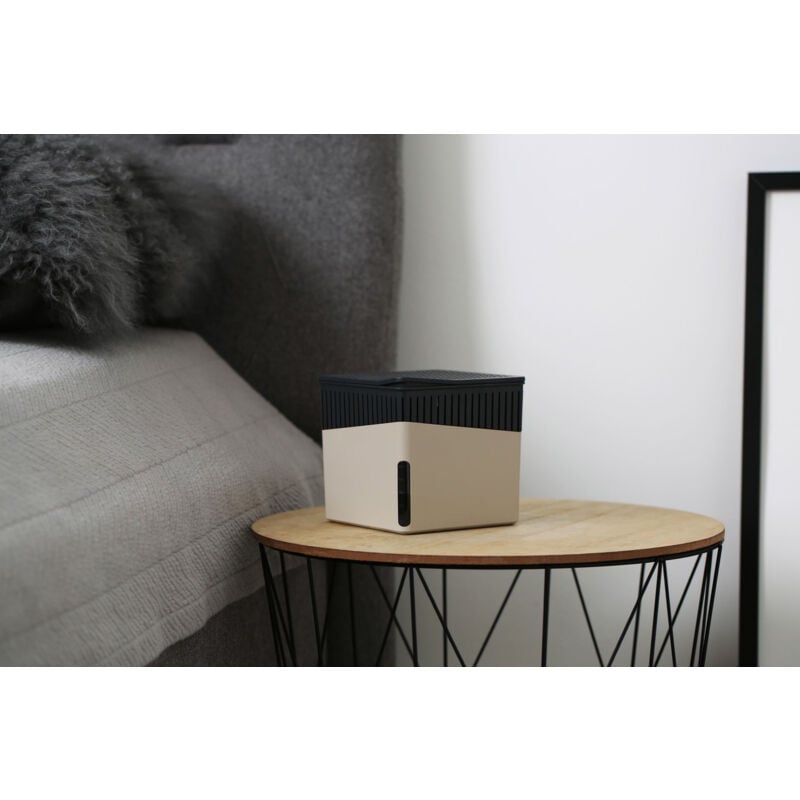 Wenko - Déshumidificateur Cube Beige 500 g pour pièces 40 m³ Absorbeur d'humidité design rechargeable sans électricité avec 2 x 500 g de chlorure de