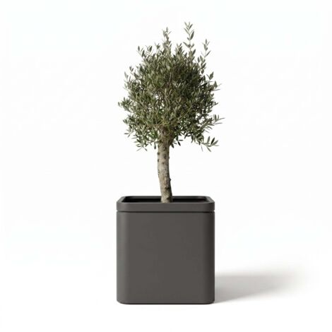 Lot olivier + pot grande taille infinity square 60x60cm anthracite, fait main en acier inoxydable
