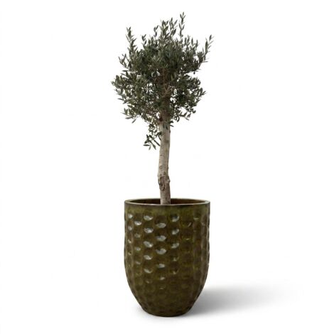 Lot olivier + pot grande taille MEROVEE 72x75cm vert tropical, fait main en terre cuite émaillée