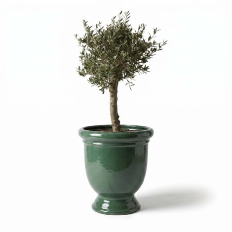 Lot olivier + pot grande taille TITAN 72x75cm jade, fait main en terre cuite émaillée