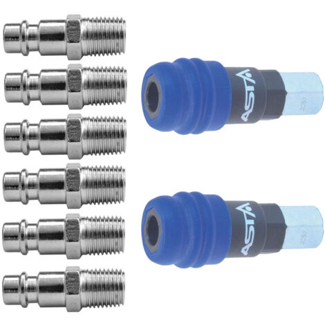 Lot promo de 2 coupleurs et 6 embouts raccord air polyvalent de securite g 1/4''