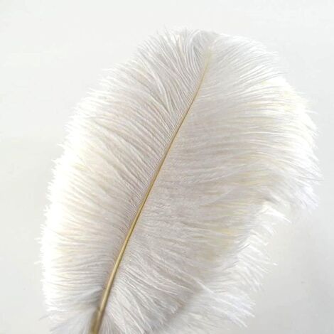 Lote de 10 Plumas de Avestruz (Blancas) Creny de 30 a 35 cm para decoración de interiores o Bodas