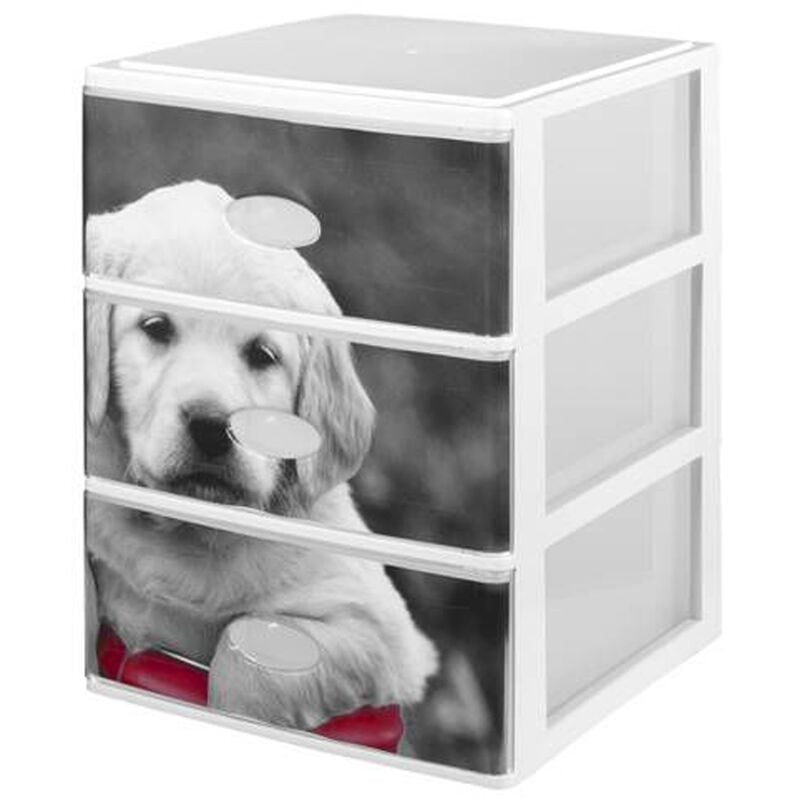 

Lote de 3 cajas en color negro 380 x 370 x 473 con diseños de perros