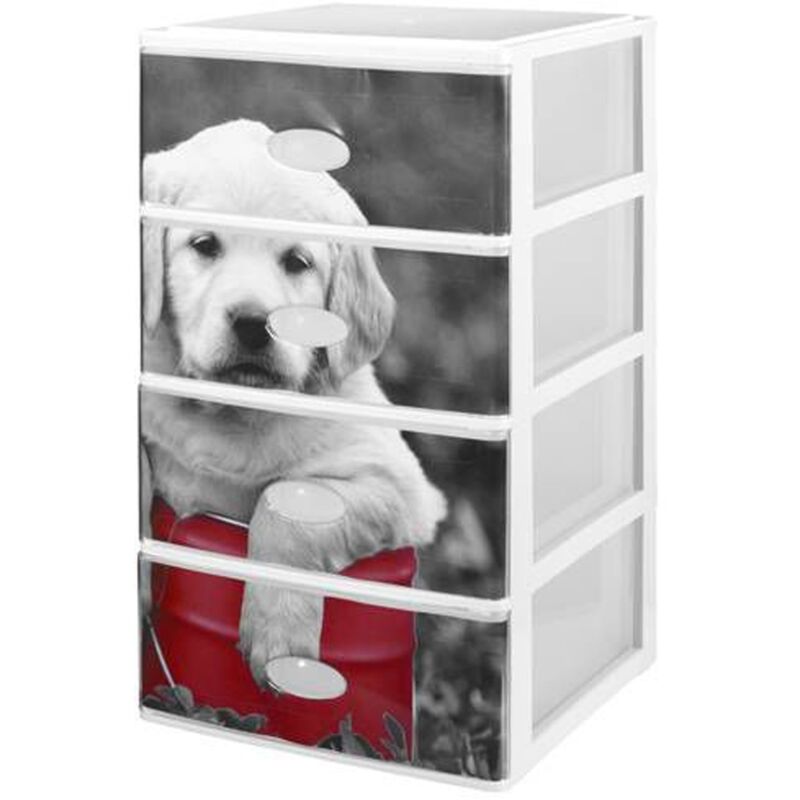 

Lote de 4 cajas en color negro 380 x 370 x 626 con diseños de perros