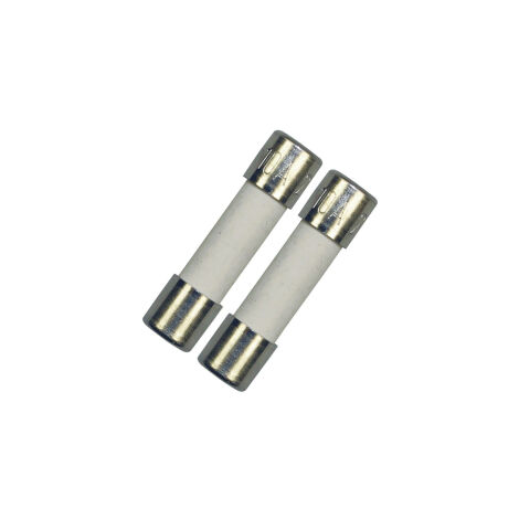 Lotto di 2 fusibili elettrici 10A 5 x 20 mm originale - Forni, Fornelli Elettrici e a Gas - BOSCH - 296039