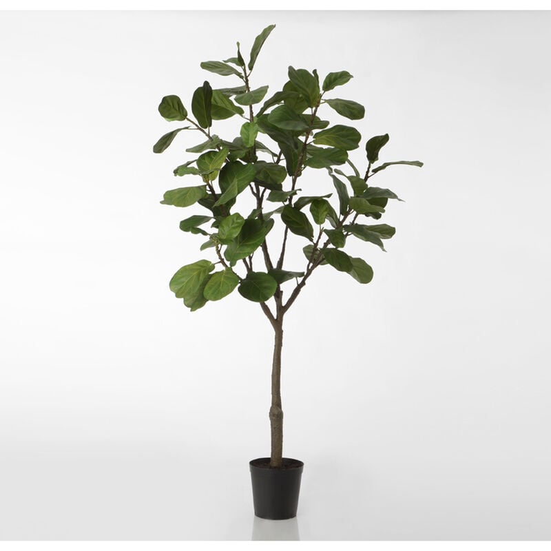 Lou De Castellane - Ficus Lyrata 200 cm - Vert