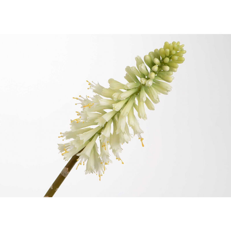 Lou De Castellane - Fleur artificielle Kniphofia jade 71 cm blanc - Vert