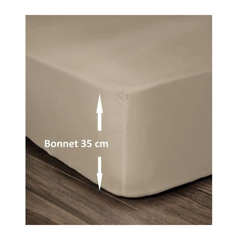 Les Tendances – Drap housse 100% coton 160x200cm – Bonnet 35cm pour matelas épais – Couleur beige – Lavable en machine à 40°C Les Tendances – Drap housse 100% coton 160x200cm – Bonnet 35cm pour matelas épais – Couleur beige – Lavable en machine à 40°C