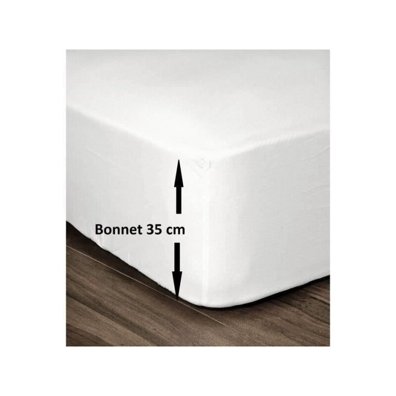 Les Tendances - lovely home Drap Housse 100% Coton 160x200cm - Bonnet 35cm - Blanc