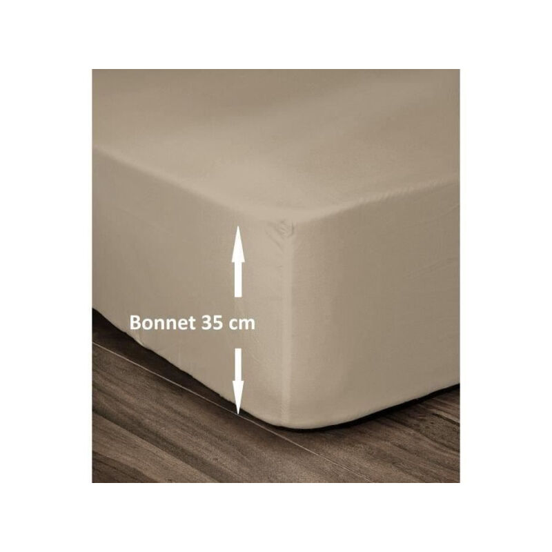 Les Tendances - lovely home drap housse 100% coton 180X200CM - bonnet 35CM - beige HP62019