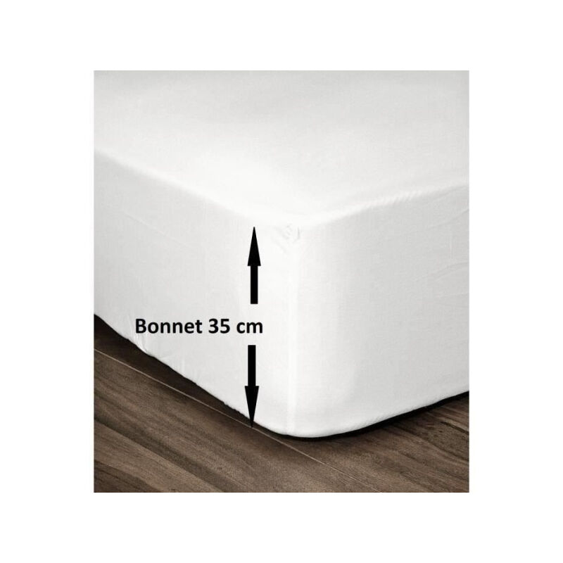 Les Tendances - lovely home Drap Housse 100% Coton 180x200cm - Bonnet 35cm - Blanc