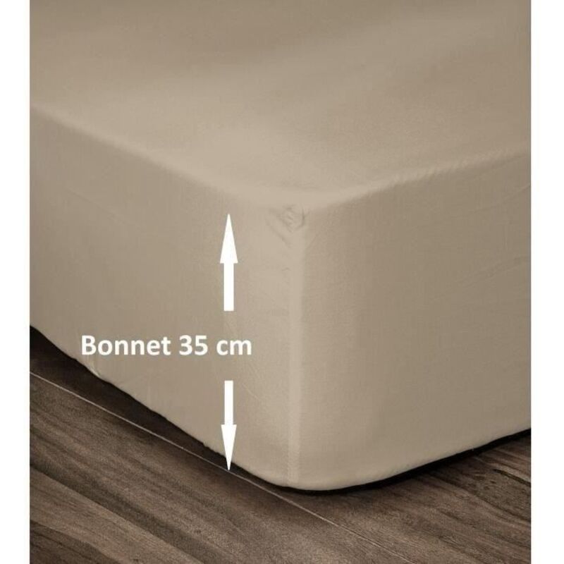 Les Tendances Lovely Home Spannbettlaken 100 % Baumwolle 180 X 200 Cm Körbchengröße 35 Cm Beige Hp62019