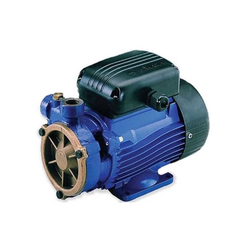Pompe peripherique PSAm70 pour une augmentation de pression de l'eau booster de très petites dimensions Monophasé 0,5Hp - Lowara