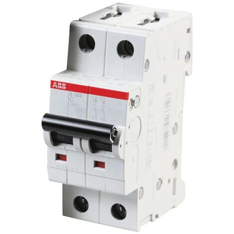 LS-Schalter ABB-2P 25A 6KA'C' 2M S202 S466103