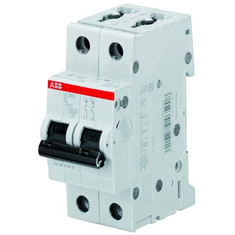 LS-Schalter ABB-2P 6KA 50A C 2M S202 S551045