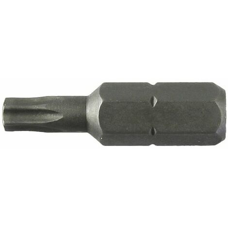 LTI INSERTO TORX 25 MM T06 M 1,6 10 PZ
