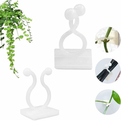Clip Plante grimpante, Clip Mural végétal, Mur Support Vigne, 30pc Clip de  Fixation Mural végétal Auto