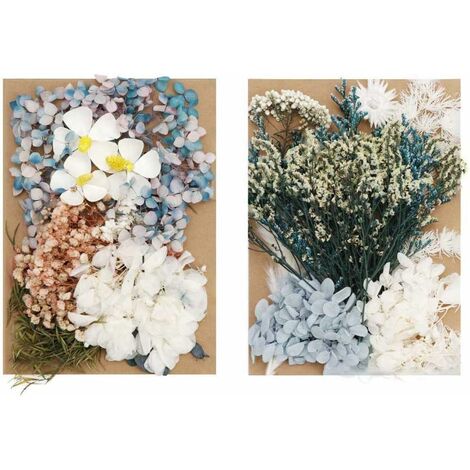 LTS FAFA Ensemble de fleurs séchées, 2 pièces de fleurs pressées mélangées naturelles feuilles de plantes sèches pour la décoration de cadre photo, bougie parfumée, carte de bricolage (combinaison 3)