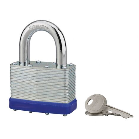 Lucchetto a lamelle in acciaio, da interno, arco in acciaio, 65mm, 2 chiavi - THIRARD