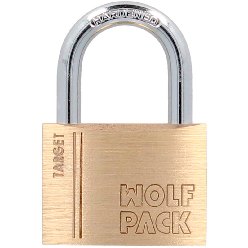 Lucchetto Ottone Arco Normale 60 mm. Serie