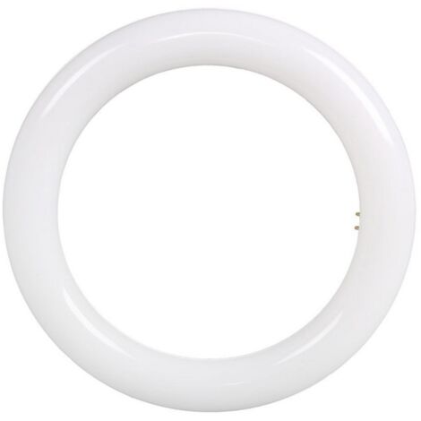 Luce a led a tubo circolare 15W luce fredda