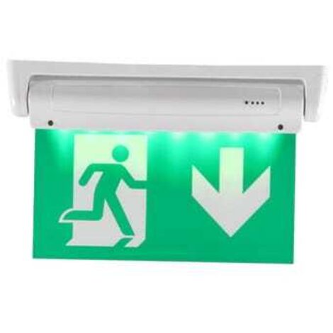 Luce di emergenza bifacciale da 3W, pittogramma in basso, per montaggio a soffitto o a parete