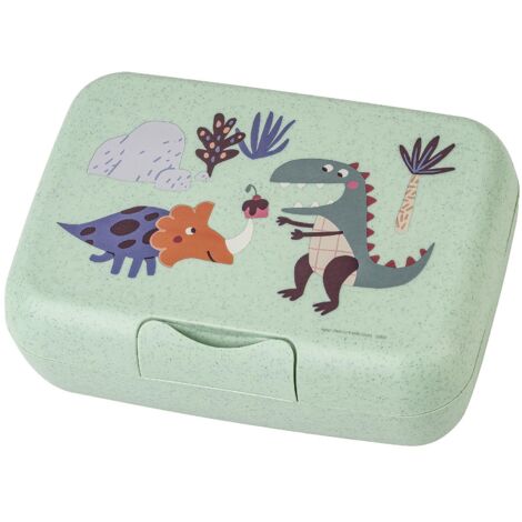 Luchbox "Rex" mit Trennschale