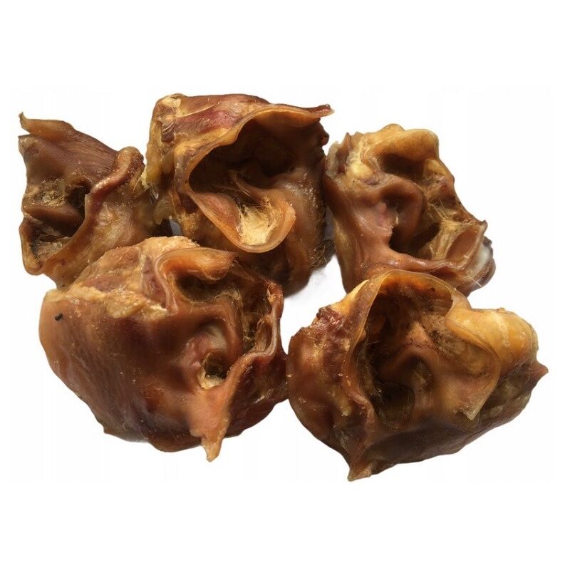 LUCZE Orecchio interno di maiale essiccato