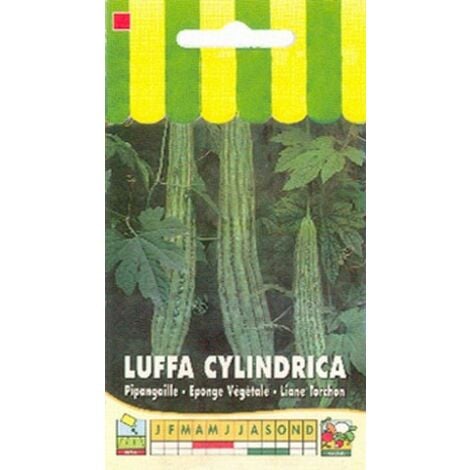 Luffa cylindrica (éponge végétale) - 1g