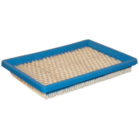 Luftfilter Air BRIGGS et STRATTON 397795