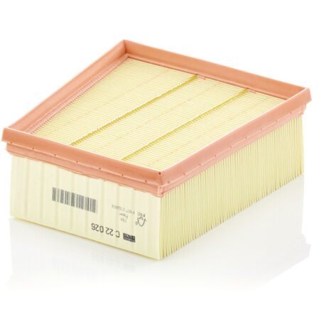 LUFTFILTER C22026 MANN