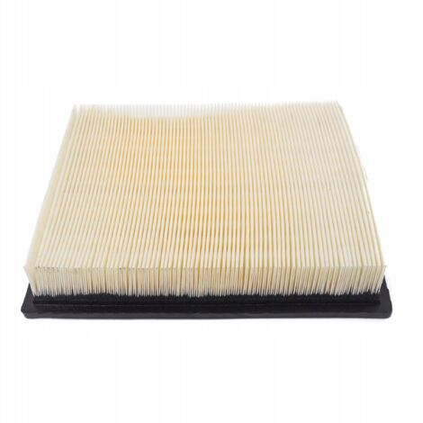 Luftfilter Chrysler Voyager IV (RG, RS)