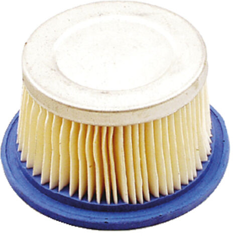 Luftfilter für Rasenmäher kompatibel TECUMSEH H22 H40 H80