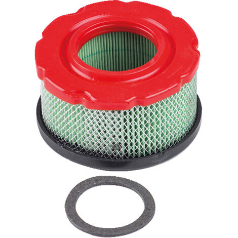 Luftfilter kompatibel mit BRIGGS&STRATTON Motor 005425 797819
