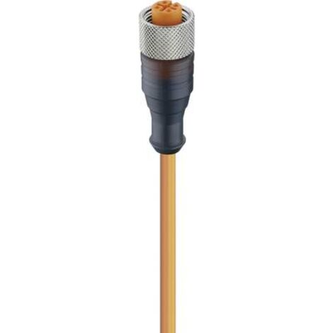 Lumberg Automation 11348-1 Connettore confezionato per sensore o attuatore M12 Presa dritta 2.00 m Numero di poli: 4 1
