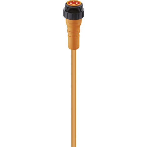 Lumberg Automation 11574 Sensor-/Aktor-Steckverbinder, konfektioniert 7/8" Stecker, gerade 2.00 m Po
