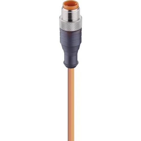 Lumberg Automation 11804-1 Connettore confezionato per sensore o attuatore M12 Spina dritta 2.00 m Numero di poli: 4 1