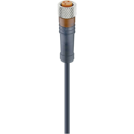 Lumberg Automation 12955-1 Sensor-/Aktor-Steckverbinder, konfektioniert M8 Buchse, gerade 5.00 m Pol
