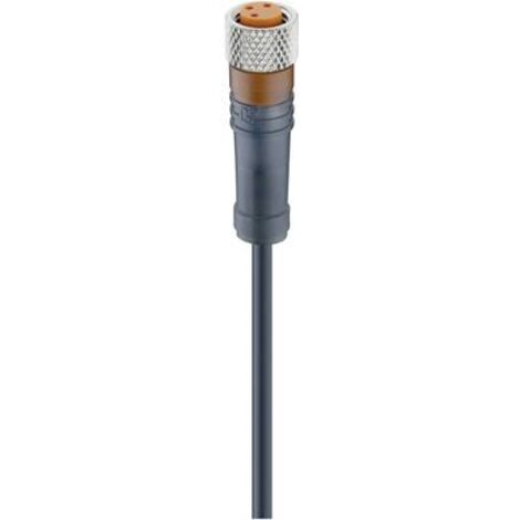 Lumberg Automation 18213-1 Connettore confezionato per sensore o attuatore M8 Presa dritta 5.00 m Numero di poli: 4 1 p