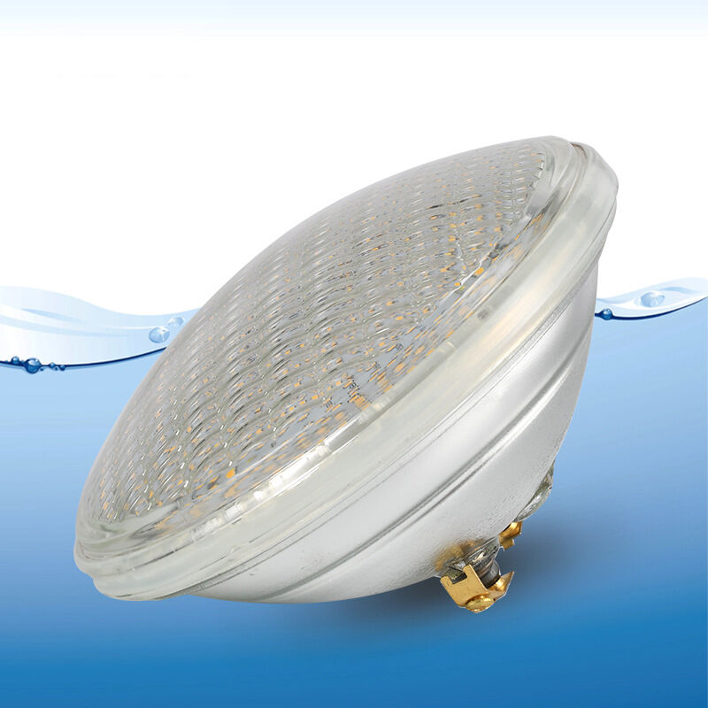 Rapanda - Lumière de piscine sous-marine led ampoule par56 ac/dc 12 v matériau en verre épais étanche IP68 lumière blanche [Classe énergétique f]