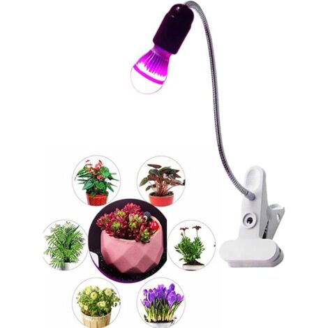 Lumière de plante, E27 d'intérieur E27 lumière de plante succulente spectre LED support d'ampoule 12W Pot de plante succulente en croissance