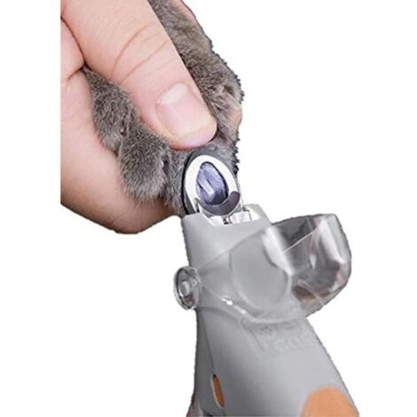 Lumière LED Anti-sang Position manucure fournitures chat chien coupe-ongles